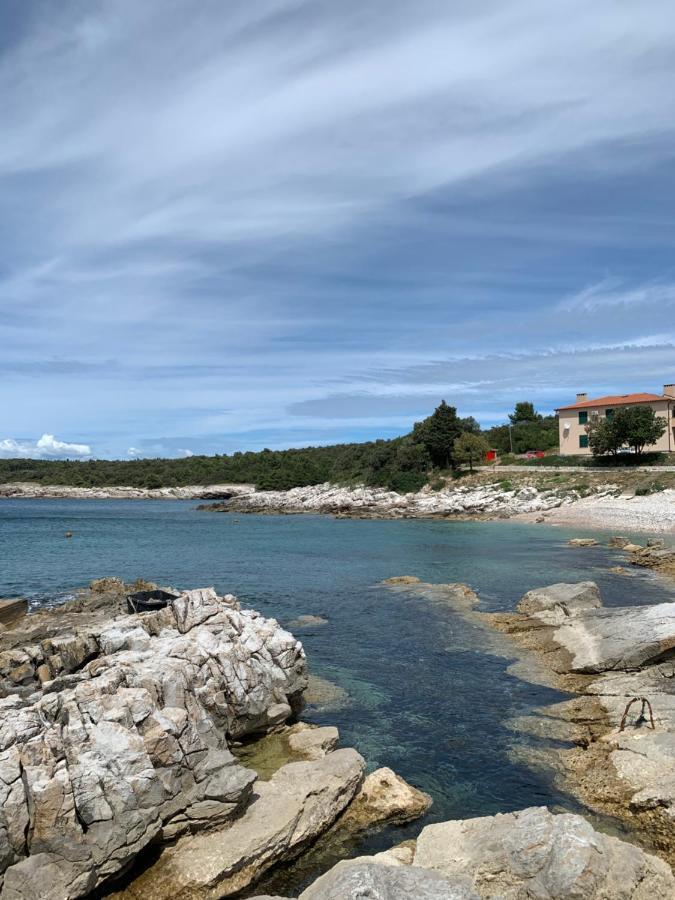 Apartman Viskovic Koromacno Bagian luar foto