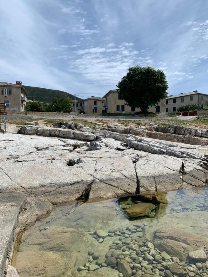 Apartman Viskovic Koromacno Bagian luar foto